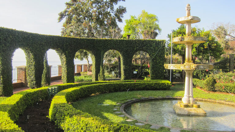 A garden with a water fountain